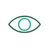 vision icon